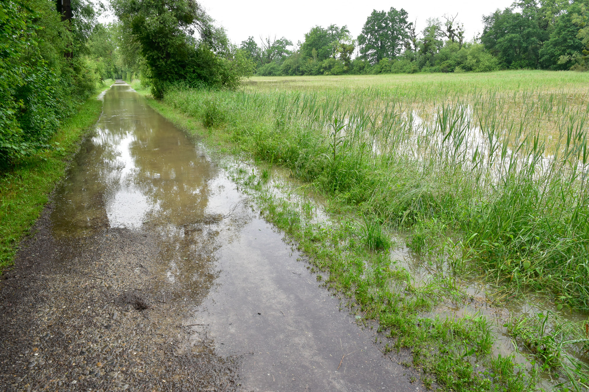 20240602065522 AOA0239